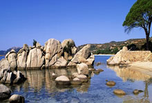 爱游戏馆-喜迎胜利，马赛客场擒对手征战胜利(今天废话不多说直接给大家解说一场赛马比赛)