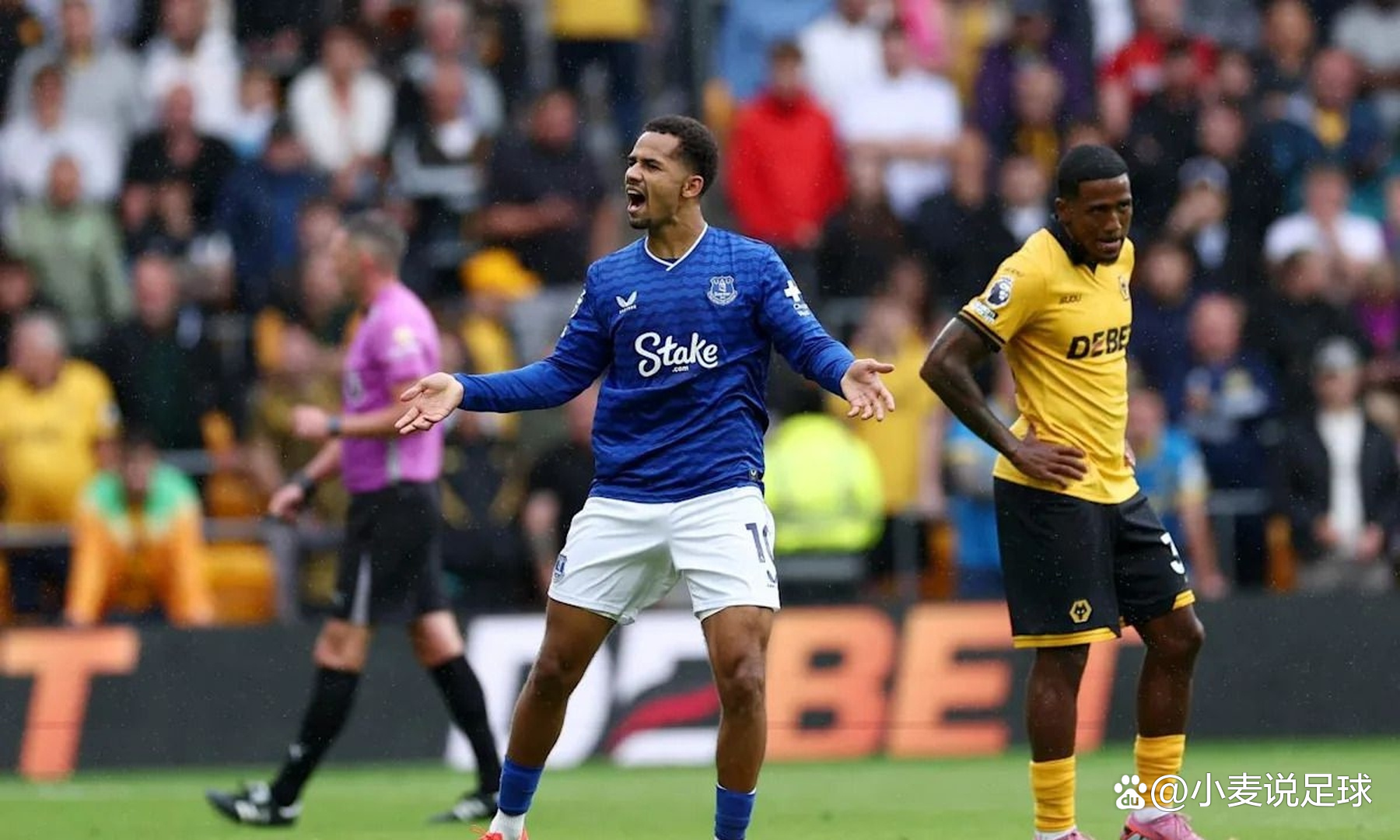 埃弗顿大胜狼队,连胜势头强劲的简单介绍 埃弗顿大胜狼队,连胜势头强劲的简单介绍